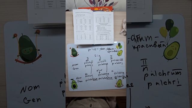 Латынь урок 2. Термины. 1 и 2 склонения существительных и прилагательных