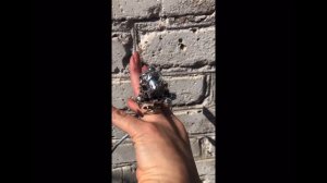 Куча мала , от автора.😀 Лариса Антонова