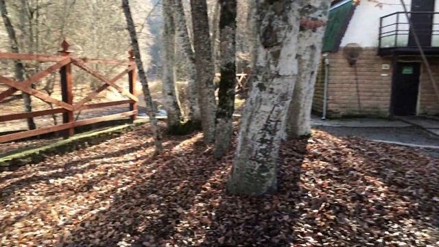 Форелевая ферма в Крыму-заповедник Алушты/03.01.2021 смотреть онлайн