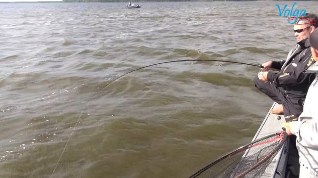 Спиннинг Fox Rage Terminator Shad Jigger Rapid 240 см 20-60 смотреть онлайн