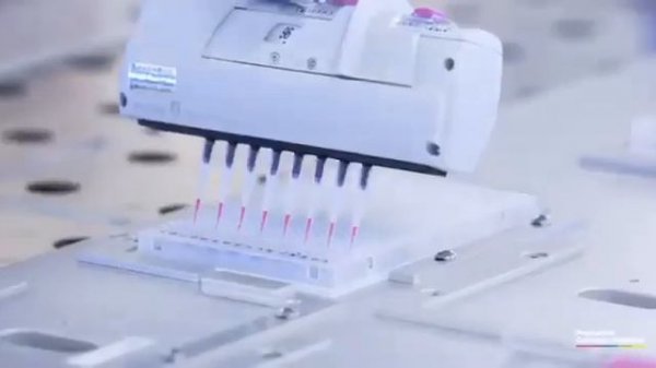 Премиум-коллаген PROMARINE - производство TCI Тайвань #Коллаген #ПремиумКоллаген