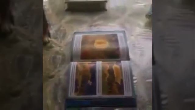 Смотрите кошка не наступает на Коран ❤️ смотреть онлайн