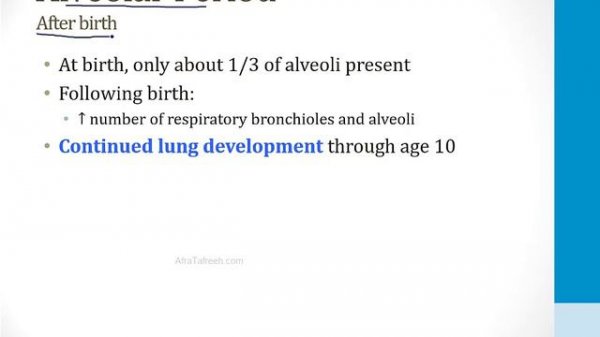 Pulmonary - 1. Embryology, Anatomy and Physiology - 1.Pulmonary Embryology atf