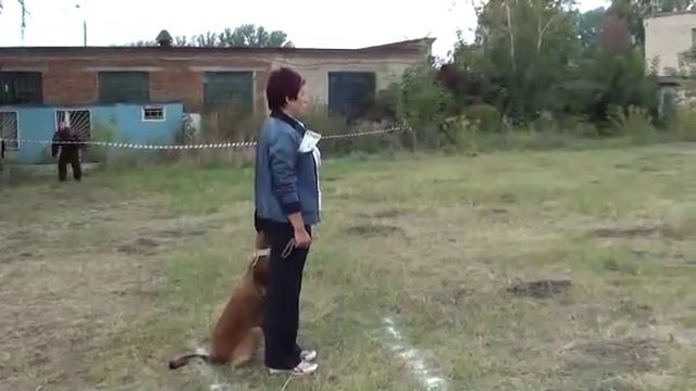вин 1 2 упр смотреть онлайн