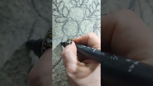 ПЕРЕД ВЫШИВКОЙ ГЛАДЬЮ СНАЧАЛА РИСУЮ НА ВАЛЕНКАХ МАРКЕРОМ, НА СЕРЫХ ЧЕРНЫМ, НА ЧЕРНЫХ БЕЛЫМ ЦВЕТОМ смотреть онлайн