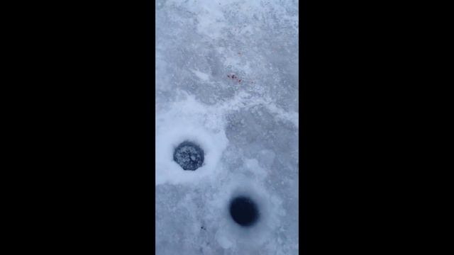 ловля корюшки на Камчатке смотреть онлайн