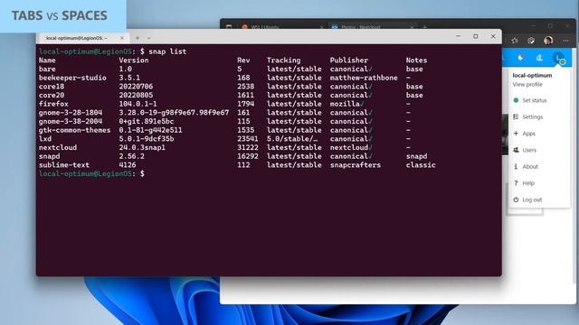 WSL: Partnering with Canonical to support systemd смотреть онлайн