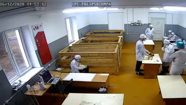 Прямая трансляция пользователя Александровский колледж Камера 13 смотреть онлайн