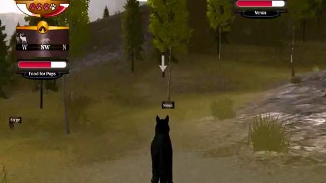 WolfQuest 2.0.1: Slough Creek -- Quest 2: Survival of the Pack -- Guide/Walkthrough смотреть онлайн