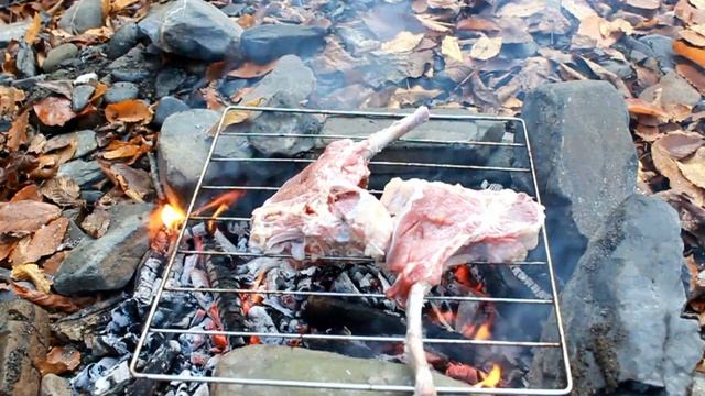 ГОВЯЖИЙ АНТРЕКОТ НА СЕТКЕ БАРБЕКЮ,BEEF ANTRECOTE ON A BBQ NET смотреть онлайн