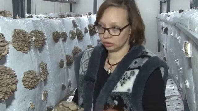 Центр Экологических Программ в Рязани смотреть онлайн