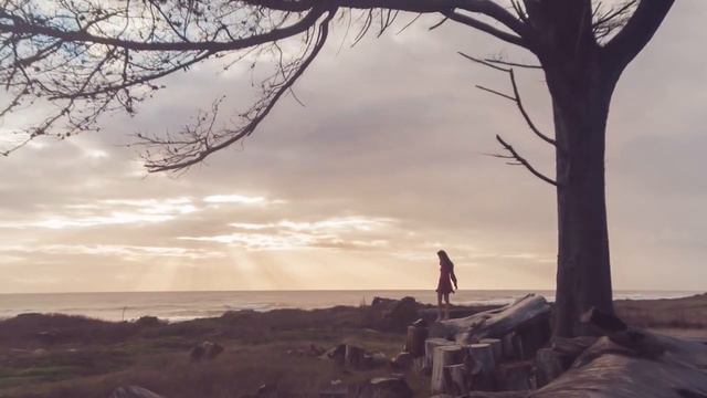 Dreamer - Wait For Me [OFFICIAL VIDEO]
