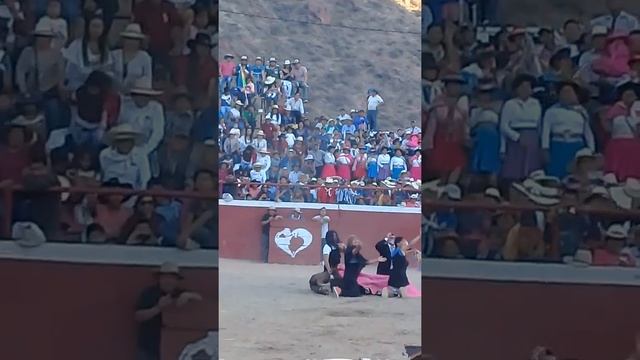 La mejor corrida de toro de Cangallo смотреть онлайн
