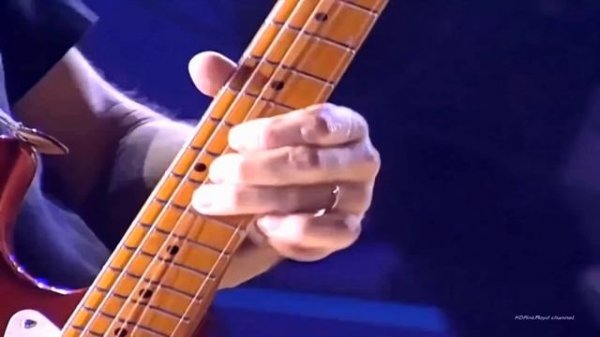 Pink Floyd - " DSOT / Pulse