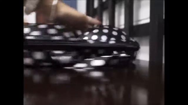 ХРАНЕНИЕ НИЖНЕГО БЕЛЬЯ смотреть онлайн