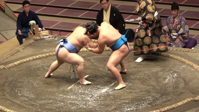 Great sumo stories #8: Tobizaru's title challenge смотреть онлайн