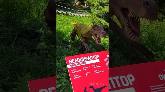Большой паук и Велоцираптор. Отдых в Карпатах. Долина динозавров Динопарк. смотреть онлайн