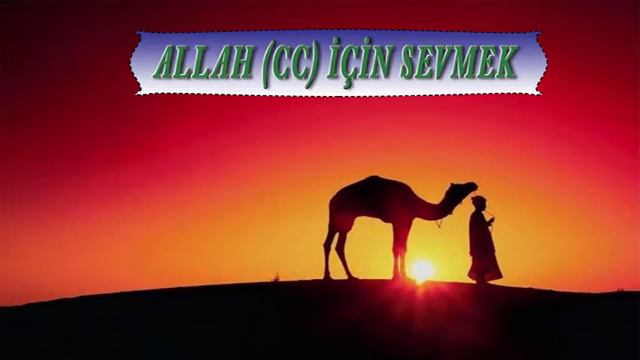 Allah (CC) İçin Sevmek - Fatih Medreseleri Yazı İşleri Kurulu смотреть онлайн