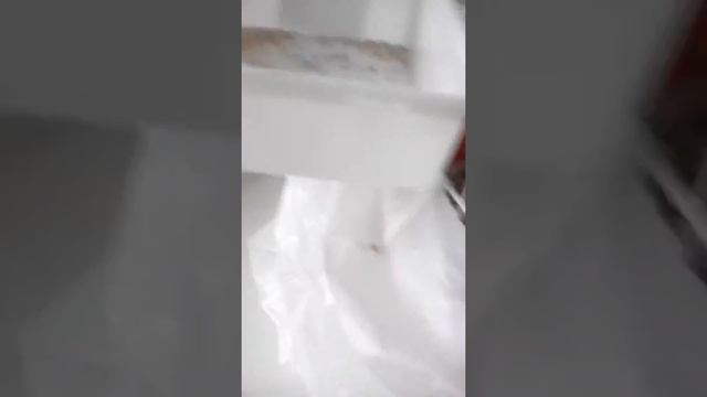 Обзор на купалку для попугаев смотреть онлайн