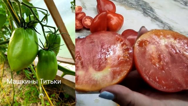 Дегустация №4