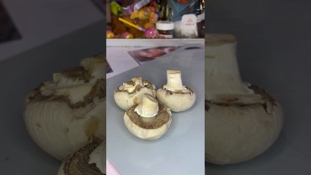 Эксперимент ? #shorts