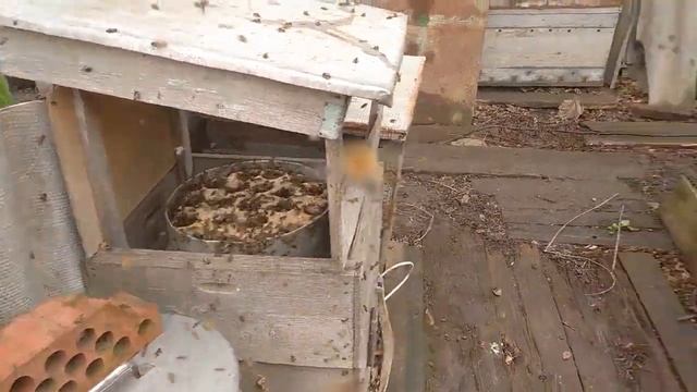 Нужна ли поилка если лежит пленка. смотреть онлайн