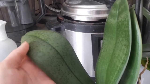 Новые уценки. смотреть онлайн