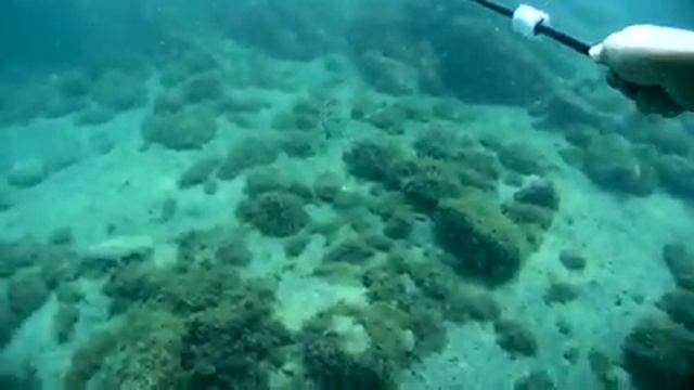 Подводная рыбалка в Бетте. Sony Actioncam Fdr X1000v.