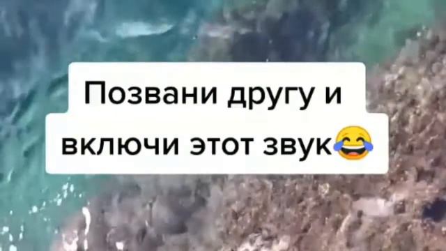позвони другу и включи этот звук!!! смотреть онлайн