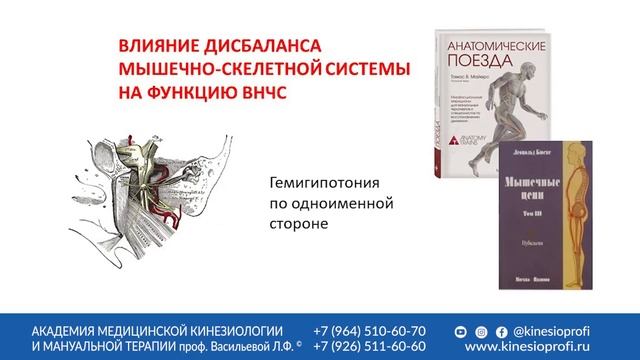 Причины и следствия дисфункция ВНЧС. Мастер-класс проф. Л.Ф.Васильевой смотреть онлайн