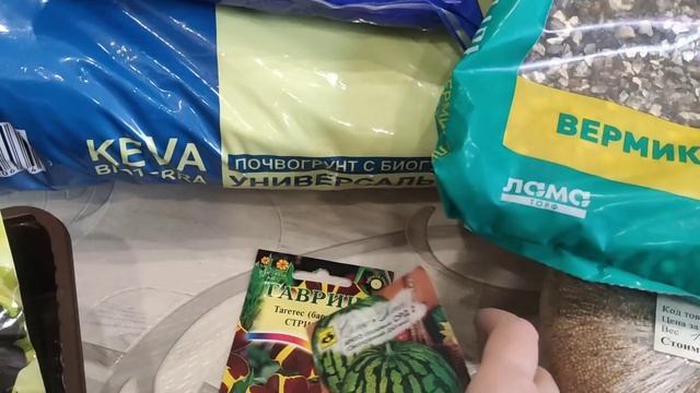 Посев петунии, простой способ. Подрастает арбуз на подоконнике.Зацвела земляника на окне. Элегия. смотреть онлайн