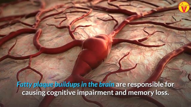 7 Health Benefits of Folic Acid | VisitJoy смотреть онлайн