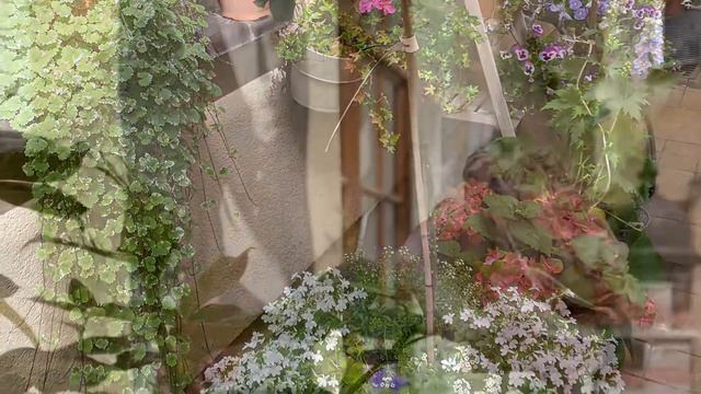 19 Июня - Международный день прогулок/Прогулка по Быдгощу. смотреть онлайн