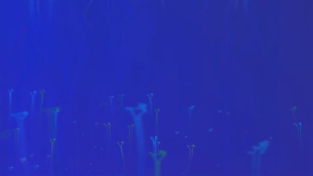 Песнь 8 Сворачивание космического проявления 2 14 Система управления вселенной смотреть онлайн