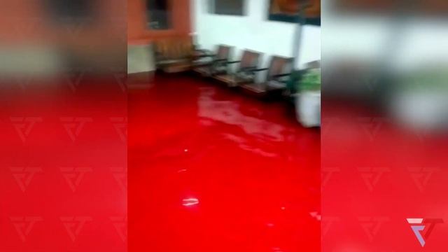 Jenggot has turned RED after Floods hit a nearby Batik Factory. Indonesia / Natural Disasters смотреть онлайн
