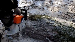 Заготовка дров китайской (цыганской) бензопилой