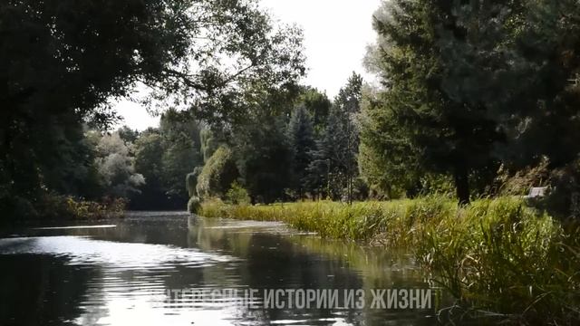 НА КОРПОРАТИВЕ ЗАБЫЛ ПРО СВОЮ ВЕРНОСТЬ. Жизненные истории и аудио рассказы слушать онлайн смотреть онлайн