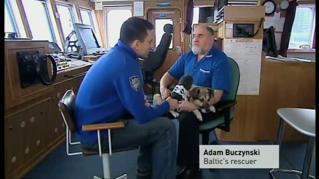 1 an après : que devient le chien sauvé en mer Baltique ? смотреть онлайн