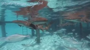 Красивая Легкая Клубная Музыка (Ибица) Слушать Онлайн - Ibiza music party