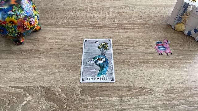 КАКОЙ ПОДАРОК ВАМ ПРИГОТОВИЛА ВСЕЛЕННАЯ? смотреть онлайн