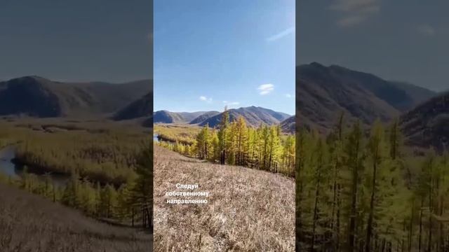 Человеку надо мало #природа #лошади #дикаяприрода #стихи смотреть онлайн