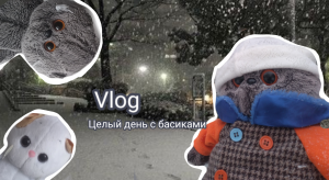 Влог! Весь день с басиками? басик получил двойку? Что с лапкой лили!?