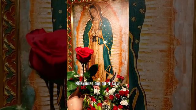 Madre Maria Ruega Por Nuestra Familia  #elevacióndelevangelio