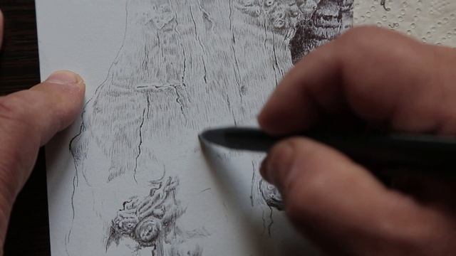 Снимаю природу. Рисую природу. Принт на холсте. смотреть онлайн