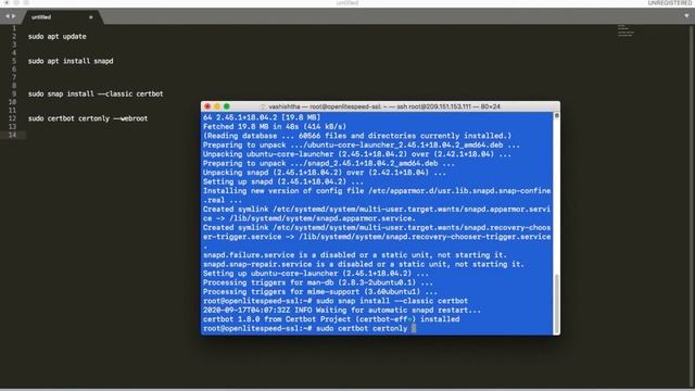 Installing & Configuring FREE SSL Certificate in OpenLiteSpeed Server смотреть онлайн