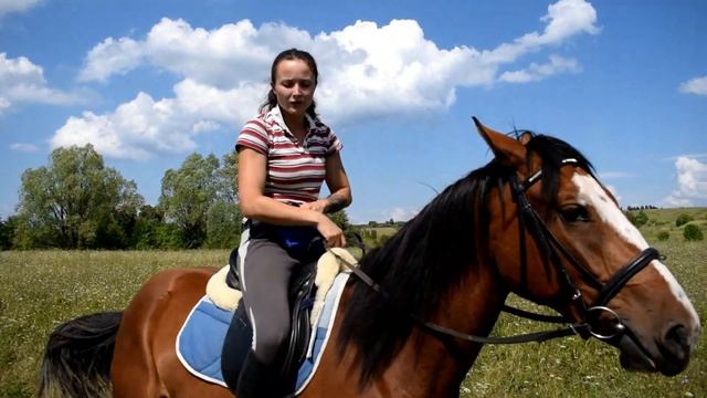 Одели седло на молодую лошадь. Всадник на молодой лошади смотреть онлайн