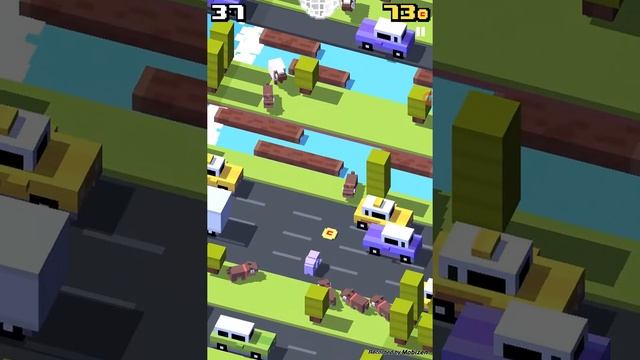 Disco zoo party!!! смотреть онлайн