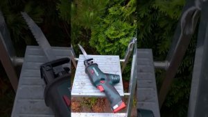 ТУЯ западная Смарагд Удаление лишних стволов Начало 2022июнь21