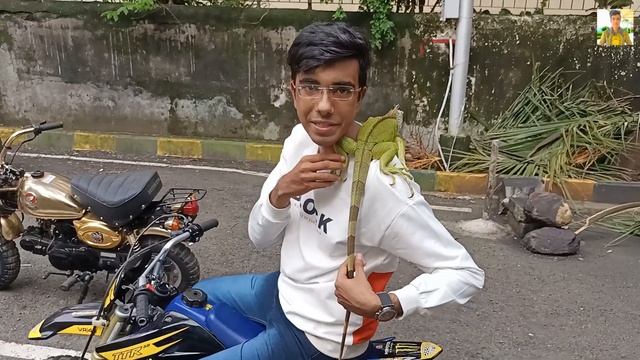 World's Smallest Petrol Bike - Only One in India | Yamaha RX 100, Honda Monkey? смотреть онлайн