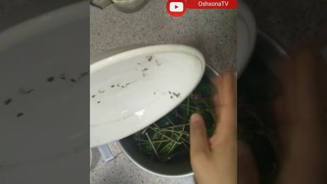 Как готовить соленые огурцы? смотреть онлайн